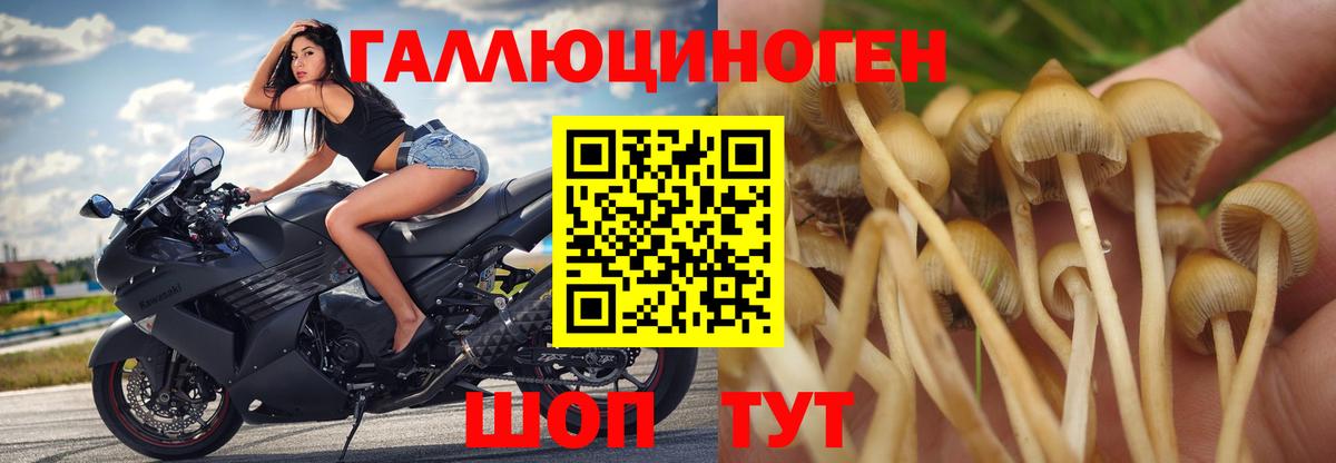 Галлюциногенные грибы мицелий Джанкой